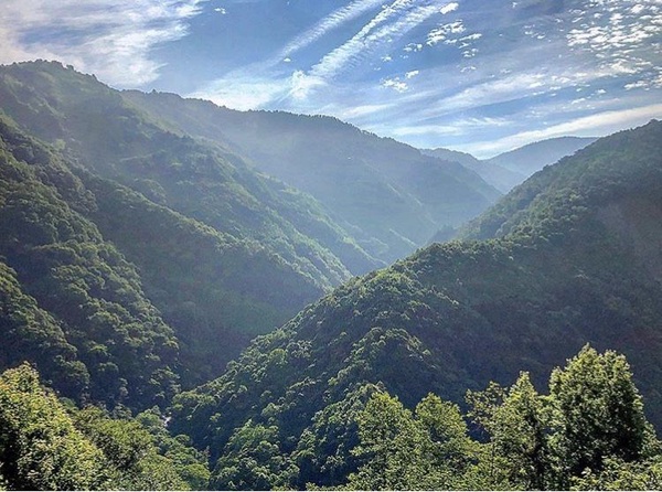 拉拉山採水蜜桃、賞神木，還有美麗又刺激的天空步道，快安排你的夏日一日遊