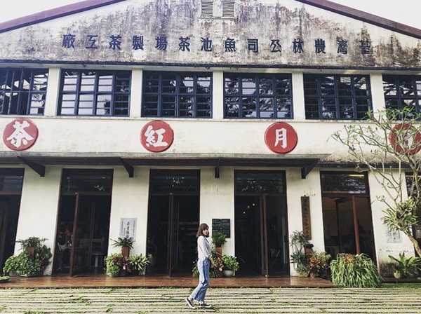南投必去景點大推薦，交通旅遊套票讓你玩法再升級，懶人式玩法輕鬆就能暢遊日月潭