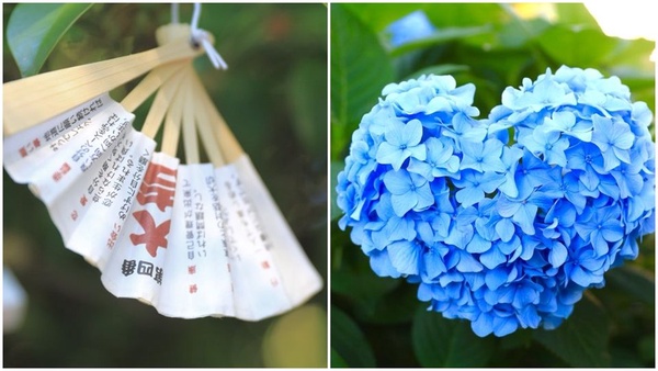 IG繡球花打卡熱點！日本超夢幻「紫陽花手水舍」，美到讓人想直飛名古屋！
