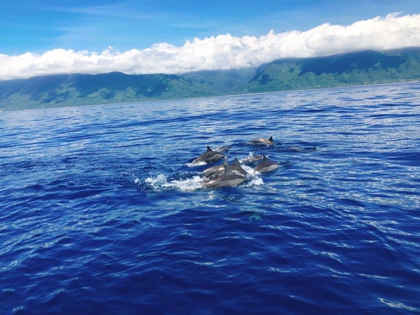 夏天超推海上活動都在這，帶你出海到玩立槳、划獨木舟，還有網美系游泳池、海上BBQ