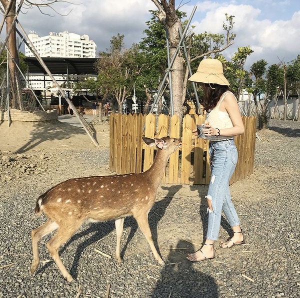 墾丁怡灣度假酒店全新開幕，更多IG熱門打卡景點都在這，讓你玩好玩滿！