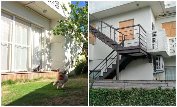 帶著毛小孩去旅行吧！全台寵物住宿推薦