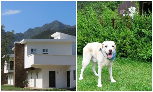 帶著毛小孩去旅行吧！全台寵物住宿推薦