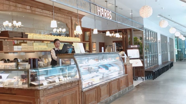 日本HARBS超划算午間套餐，台幣500元有找！人氣蛋糕、義大利麵加飲料沙拉一次吃超飽