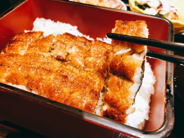 日本來台百年鰻屋「小倉屋」盛夏鰻魚祭開跑，土用丑之日就用鰻魚來補充元氣