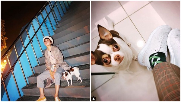 狗奴潮模的假日都在這!「動物友善餐廳」讓毛孩子也開心~