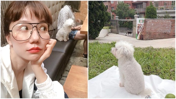 狗奴潮模的假日都在這!「動物友善餐廳」讓毛孩子也開心~