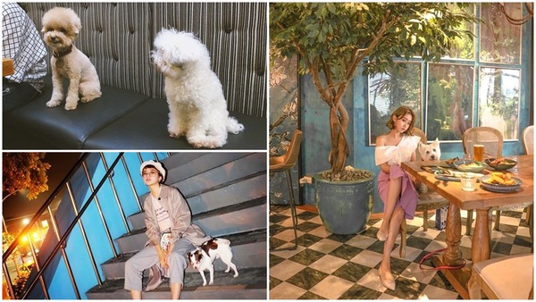 狗奴潮模的假日都在這!「動物友善餐廳」讓毛孩子也開心~