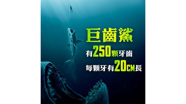 經典的大白鯊回來了！《巨齒鯊》傑森史塔森為當潛水專家苦嗆海水
