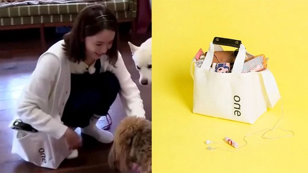 IU、潤娥、秀智、鄭有美的帆布包款！女星們都在背這些帆布包，大學生、上班族風格都有