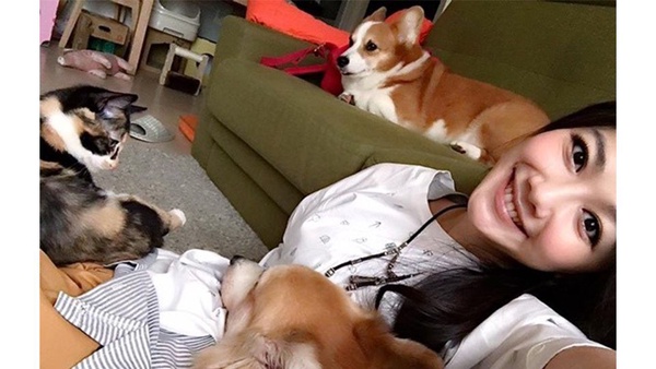 貓狗更容易擄獲明星的愛！？蔡依林護駕愛犬Woohoo撇清狗狗肥胖疑雲！