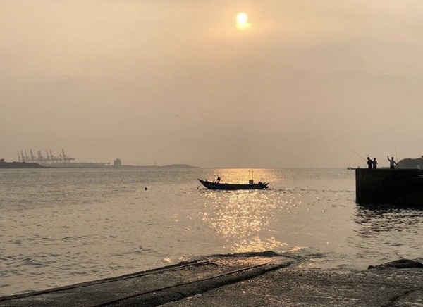 淡水海關碼頭浪漫玫瑰花燈海現身，免費入場，有趣的光影互動也別錯過