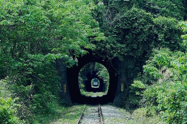 苗栗鐵道自行車即將試營運啦，一起來感受舊山線的鐵道風情