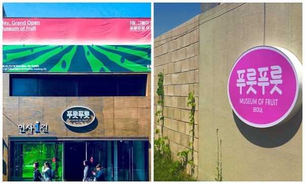 韓國仁寺洞必拍！水果博物館球池、韓系燈牌超好拍！