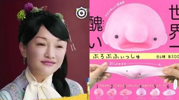 周迅激似海生物，乾隆撞臉ziont，古今明星大撞臉實在太逗趣！