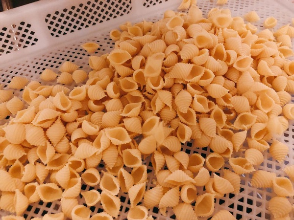 日本東京SPIGA PASTA石壁家義大利麵二店開幕，季節限定松葉蟹一定要嚐