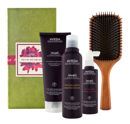 2013 AVEDA HOLIDAY 佳節系列