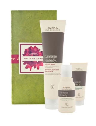 2013 AVEDA HOLIDAY 佳節系列
