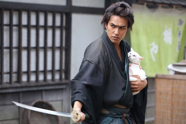 《貓侍》小貓太萌 連名導都融化！