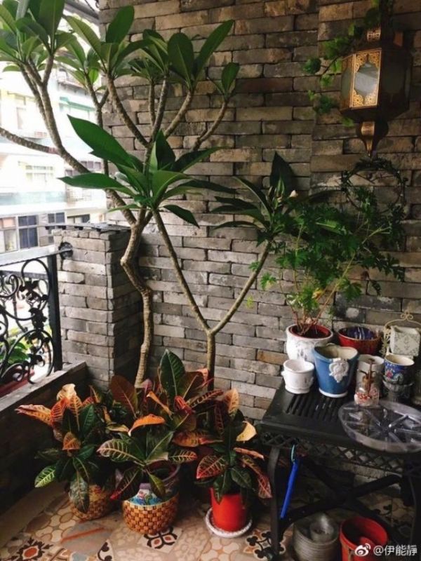 伊能靜「超夢幻豪宅」公開！歐式裝潢27張照片釋出，連陽台都不一般