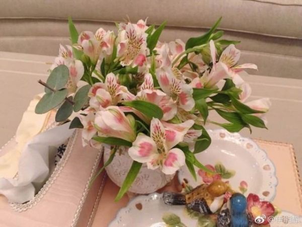 伊能靜「超夢幻豪宅」公開！歐式裝潢27張照片釋出，連陽台都不一般