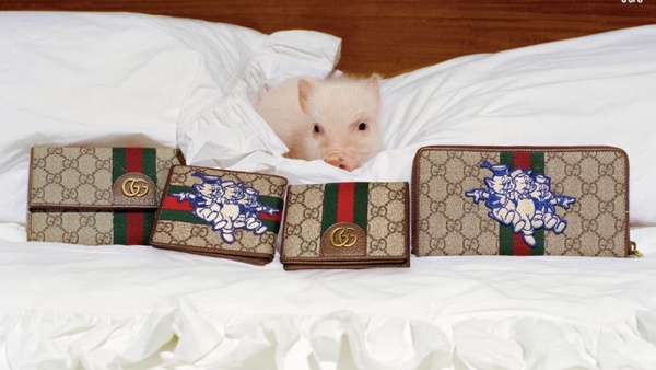 2019最萌小豬單品！Gucci、COACH、CHARLES KEITH、Tory Burch、keds豬豬限定必收！
