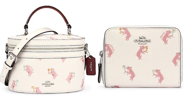 2019最萌小豬單品！Gucci、COACH、CHARLES KEITH、Tory Burch、keds豬豬限定必收！