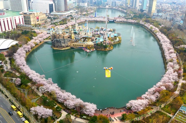 韓國「櫻花慶典」懶人包～3、4月櫻花季旅遊絕對不能錯過！