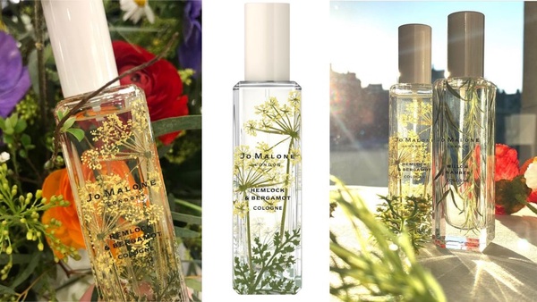 Jo Malone London 三月英倫系列「Wild Flowers & Weeds」，每款都好想收~