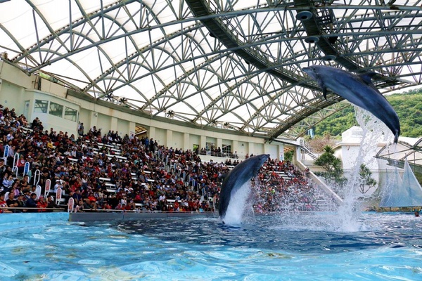 2019全台遊樂園「228連假優惠」懶人包！北、中、南都有優惠活動！