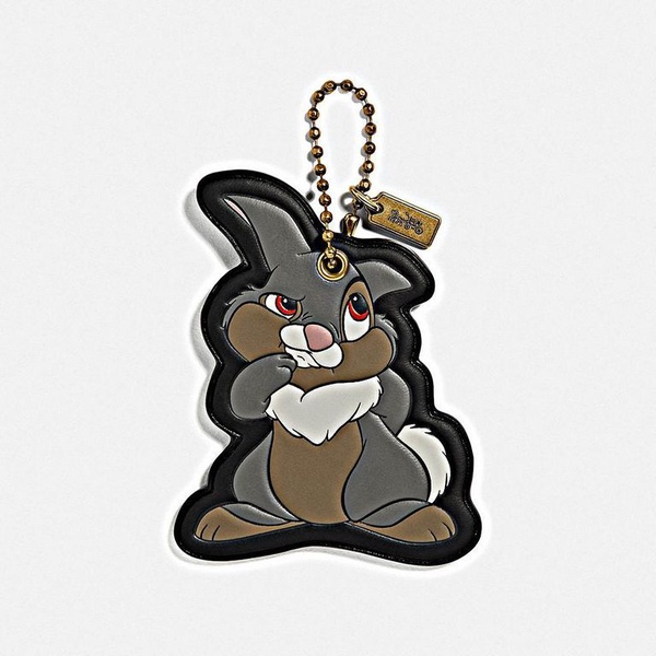 2019 COACH x DISNEY聯名再次出擊！愛麗絲、小鹿斑比、101忠狗成為主角！