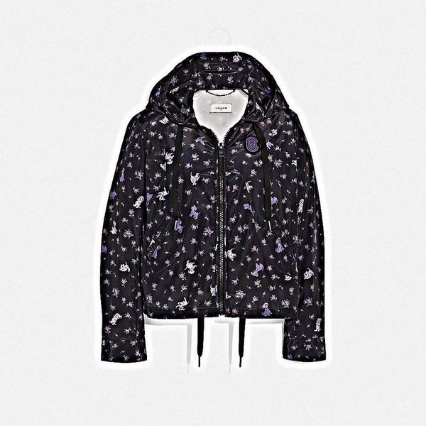 2019 COACH x DISNEY聯名再次出擊！愛麗絲、小鹿斑比、101忠狗成為主角！