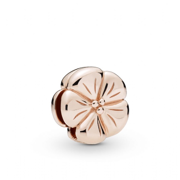 PANDORA 2019春季新品報到，不只PANDORA經典手環，項鍊、耳環也瘋疊搭！