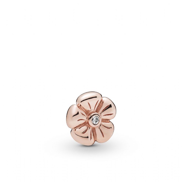PANDORA 2019春季新品報到，不只PANDORA經典手環，項鍊、耳環也瘋疊搭！