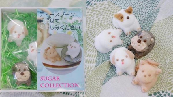 超療癒「砂糖製」動物造型杯緣子，不只能拍照還能融化在杯裡～