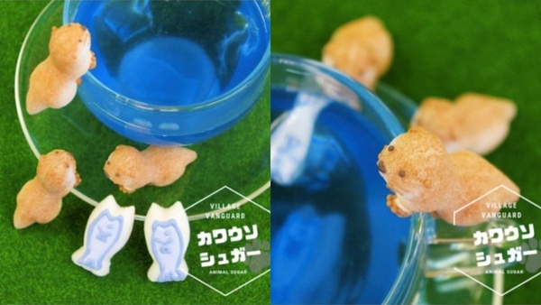 超療癒「砂糖製」動物造型杯緣子，不只能拍照還能融化在杯裡～