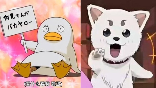 三麗鷗x銀魂超狂聯名上市！Hello Kitty竟然長出腳毛？