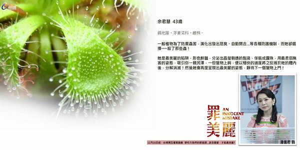 【罪美麗】 人物介紹！讓我們一起面對過去，發掘未來的美麗！