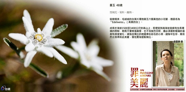 【罪美麗】 人物介紹！讓我們一起面對過去，發掘未來的美麗！