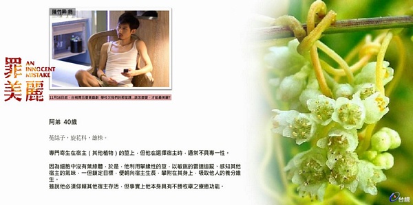 【罪美麗】 人物介紹！讓我們一起面對過去，發掘未來的美麗！