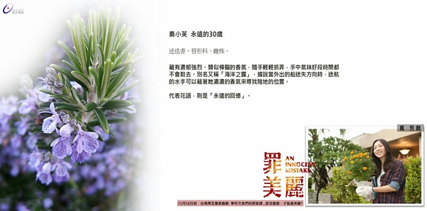 【罪美麗】 人物介紹！讓我們一起面對過去，發掘未來的美麗！