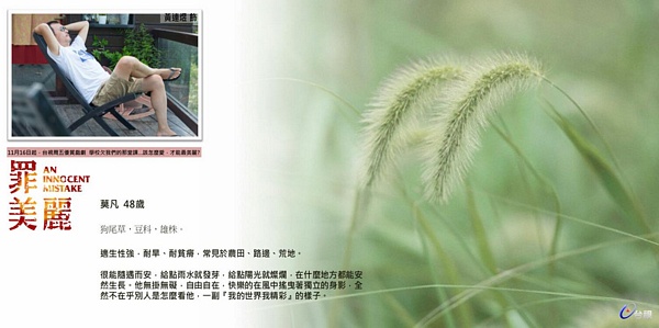 【罪美麗】 人物介紹！讓我們一起面對過去，發掘未來的美麗！