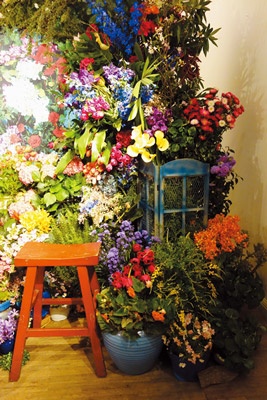 花花草草由人戀，「陳妍嵐」帶你欣賞春夏花兒盛開的季節