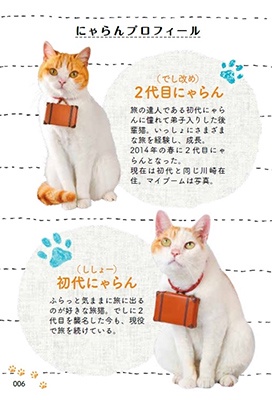 大勢貓Nyaran，人氣寫真集開始發售！