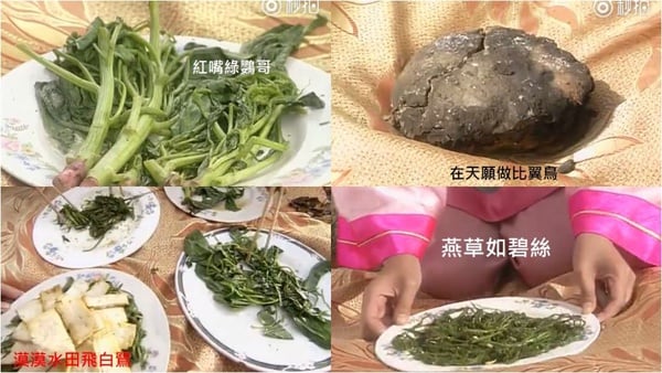 《如懿傳》難怪周迅說這是最極致的清宮劇!超精緻細節整理!