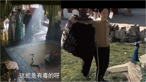 《如懿傳》難怪周迅說這是最極致的清宮劇!超精緻細節整理!