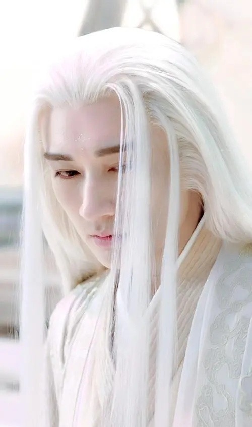 10位陸劇男星白髮造型!《護心》侯明昊驚豔,王鶴棣黑髮更帥,成毅&檀健次是真神仙吧
