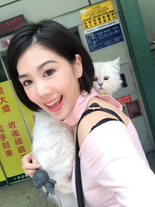 ｜楊晨熙專欄｜帶愛貓去逛寵物展！教你如何挑選最適合牠們的食物～