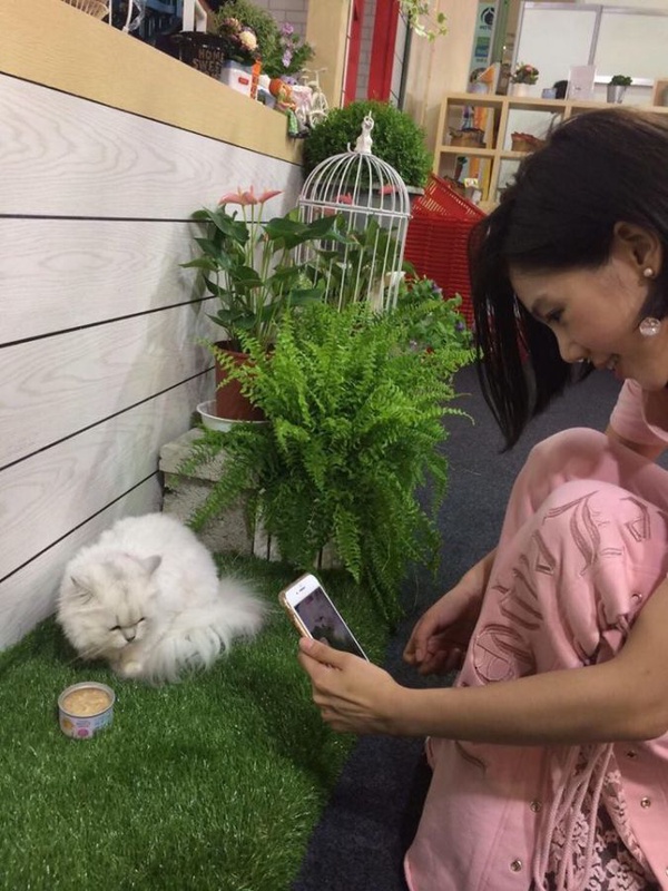 ｜楊晨熙專欄｜帶愛貓去逛寵物展！教你如何挑選最適合牠們的食物～