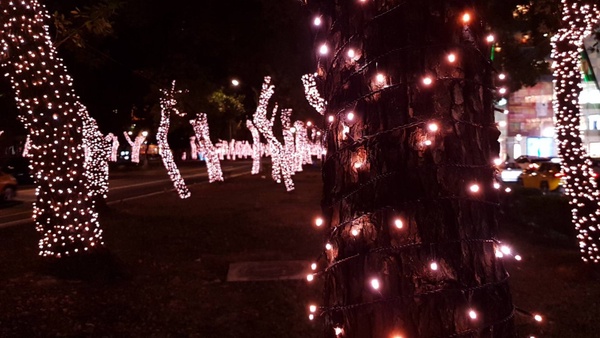 2020「Taipei Xmas」開跑囉！超震撼的巨石強森裝置藝術出沒東區街頭